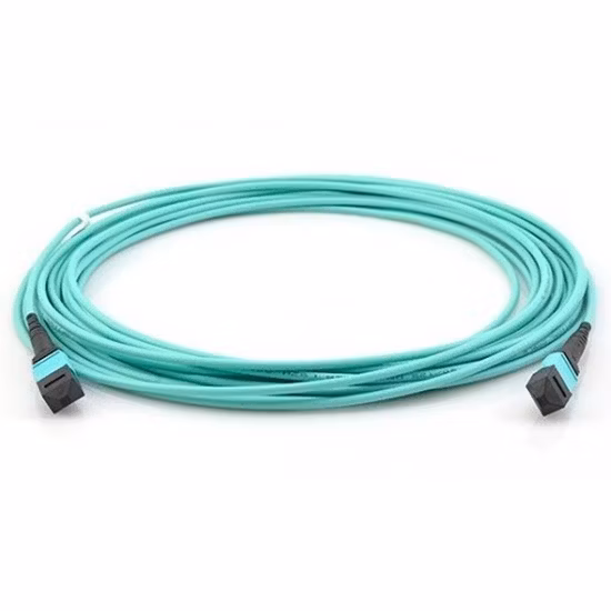 Cavo trunk MTP/MPO in fibra ottica FTTH Sm Om1 Om2 Om3 Om4